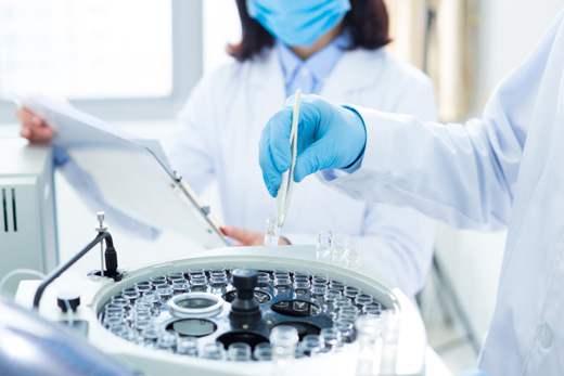 Lab, AdobeStock_104341053.jpg